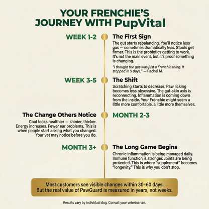 French Bulldog Longevity Chews