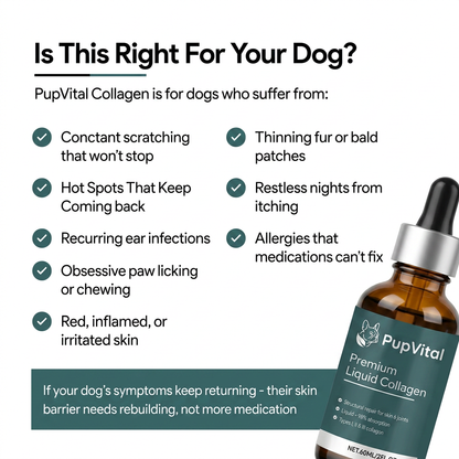 Premium Liquid Collagen